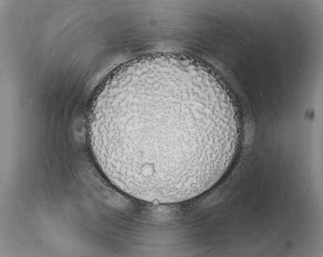 X0000114001266200911131132