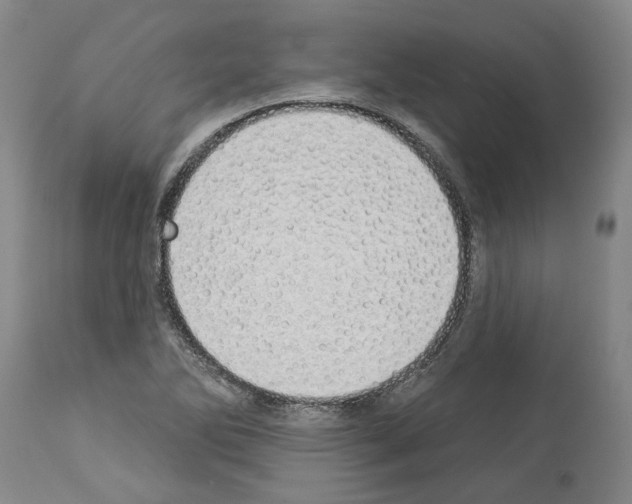 X0000114001270200911131132