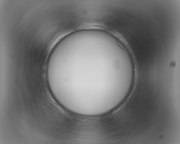 X0000114001277200911131132