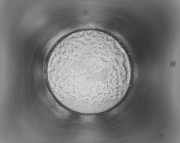 X0000114001278200911131132