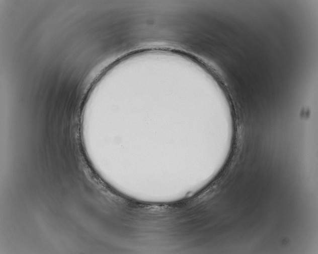 X0000114001279200911131132