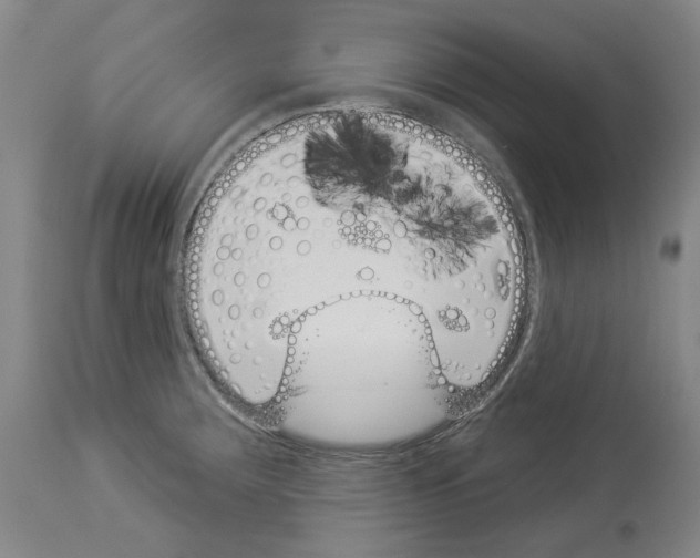 X0000114001283200911131132