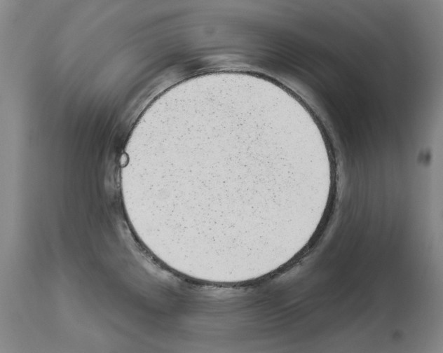 X0000114001289200911131132