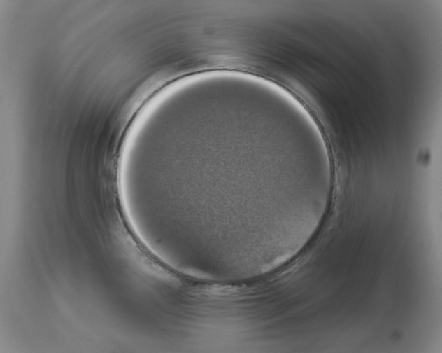 X0000114001291200911131132