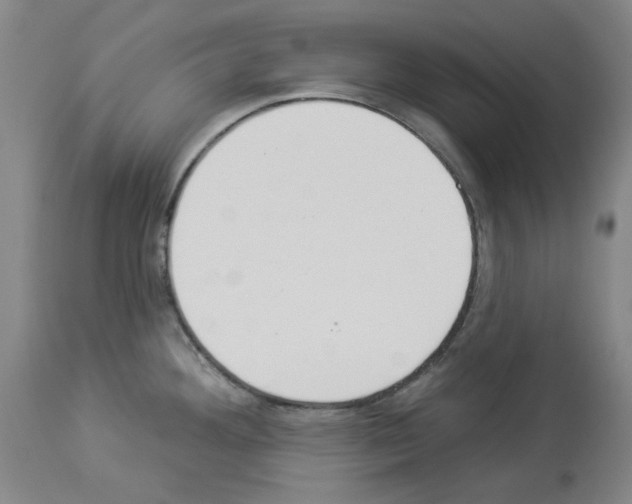 X0000114001292200911131132