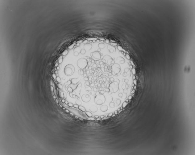 X0000114001297200911131131