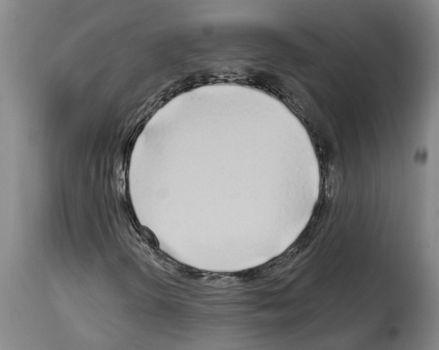 X0000114001298200911131131