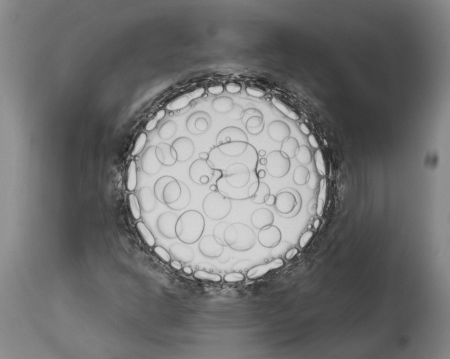 X0000114001302200911131131
