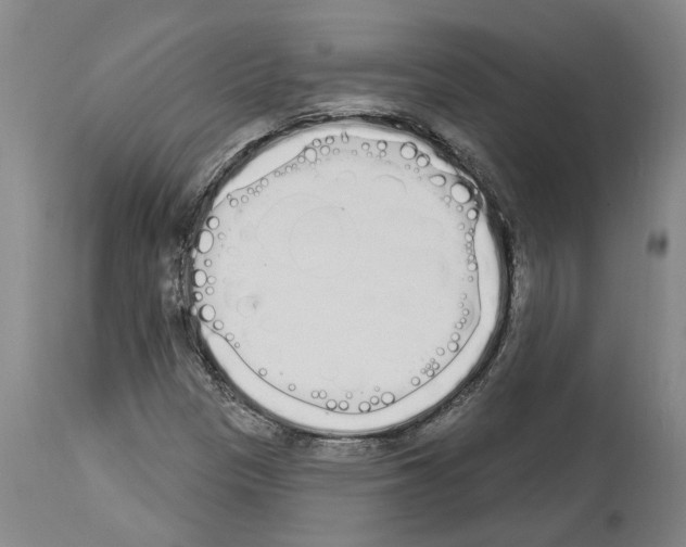 X0000114001305200911131131