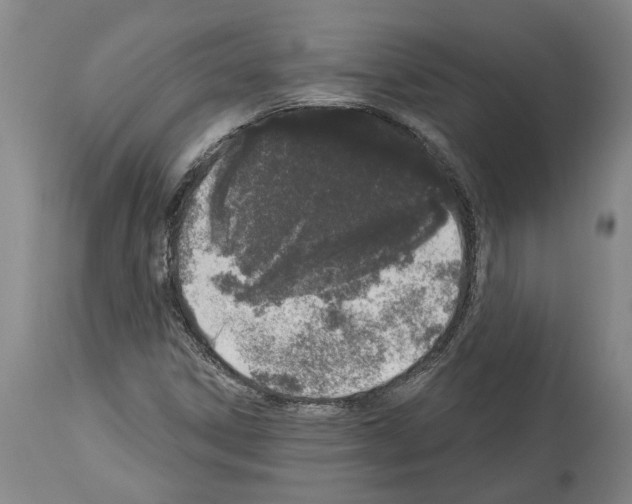 X0000114001306200911131131