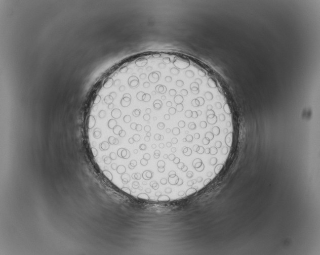 X0000114001311200911131131