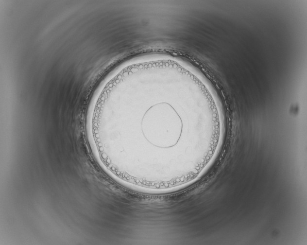 X0000114001313200911131131