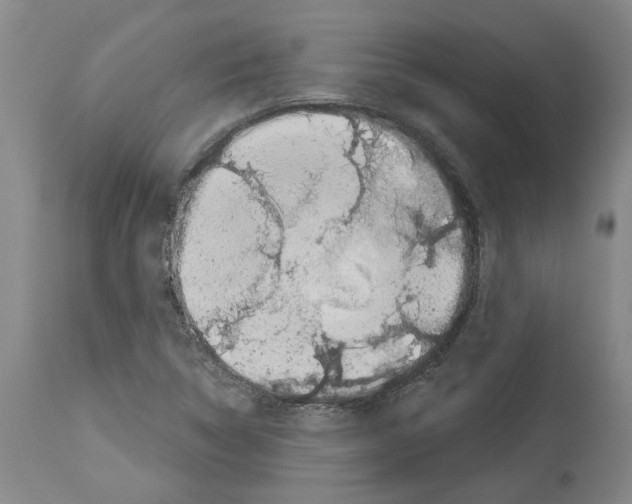 X0000114001314200911131131