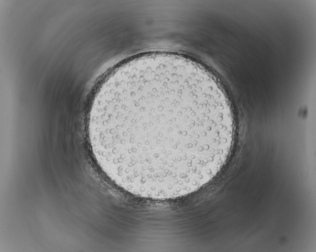X0000114001315200911131131