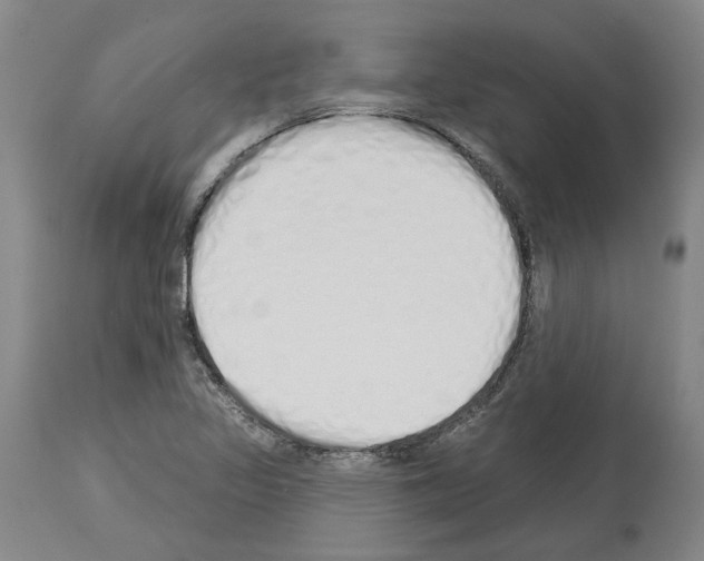 X0000114001317200911131131