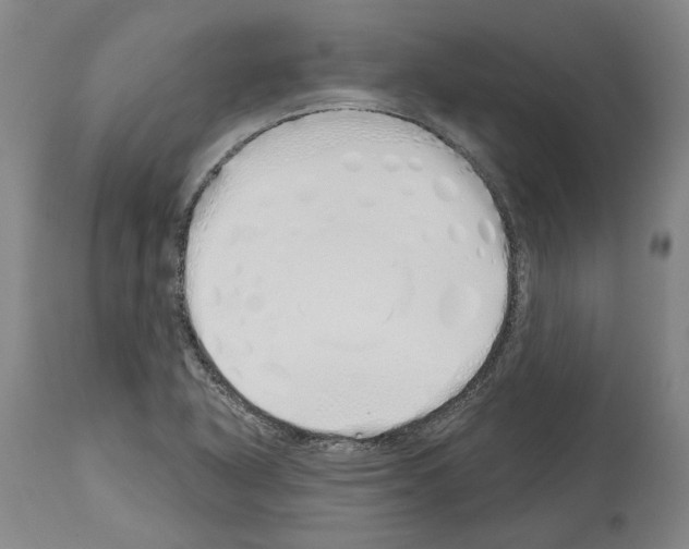 X0000114001318200911131131