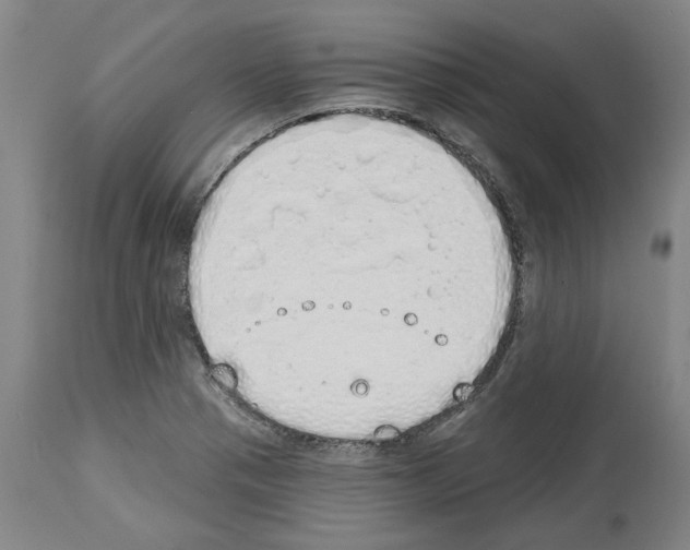 X0000114001321200911131131