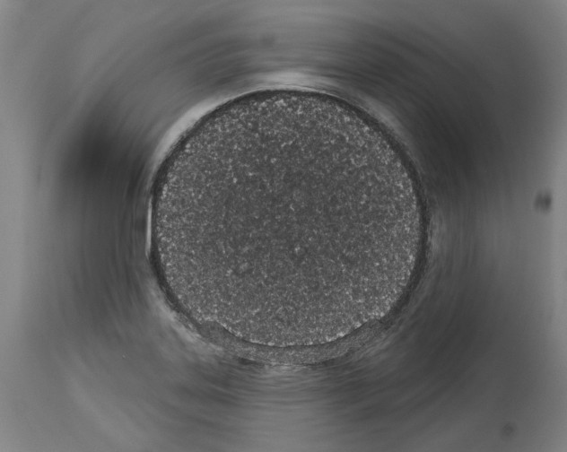 X0000114001323200911131131