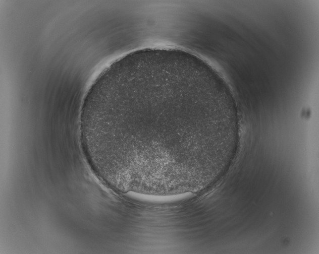 X0000114001327200911131131
