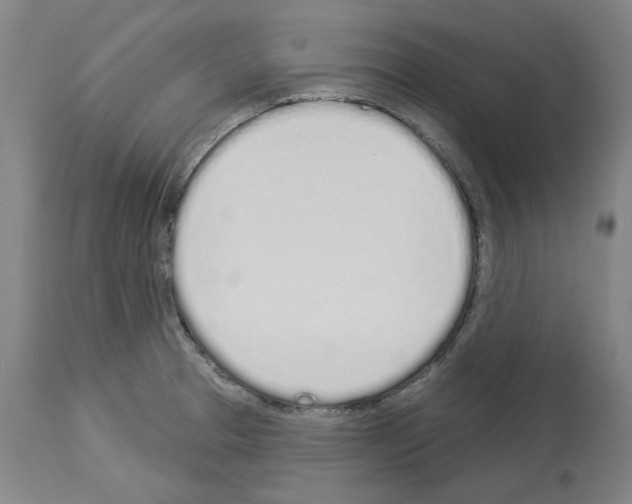 X0000114001329200911131131