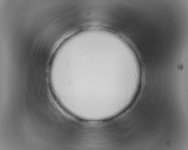 X0000114001333200911131131