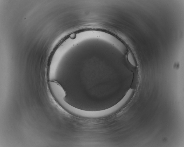 X0000114001334200911131131