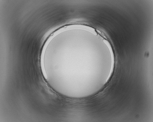 X0000114001336200911131132