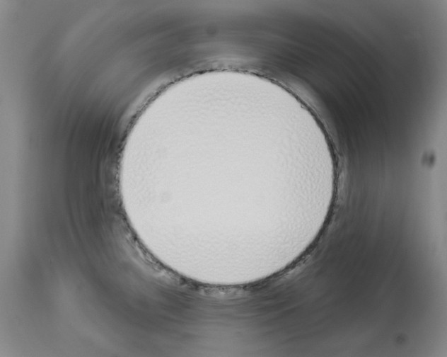 X0000114001340200911131132