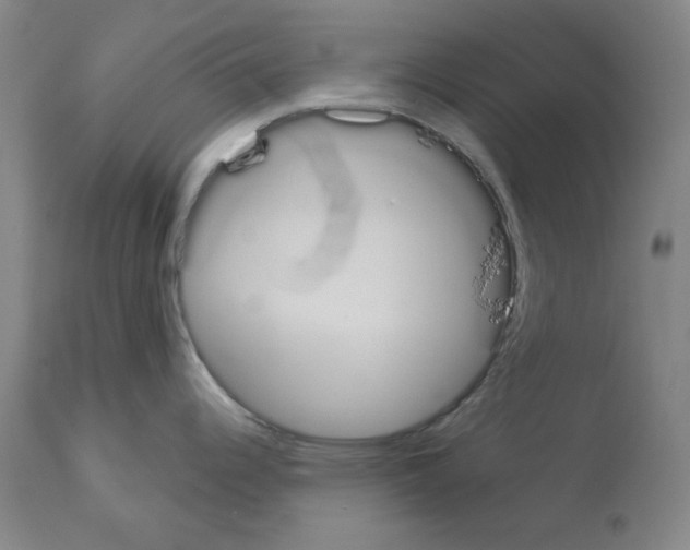 X0000114001344200911131132