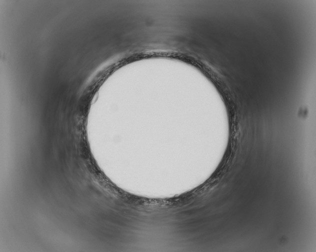 X0000114001351200911131131