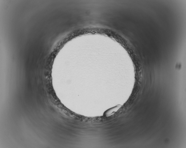 X0000114001352200911131131