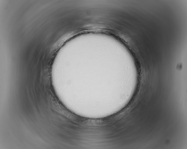 X0000114001354200911131131