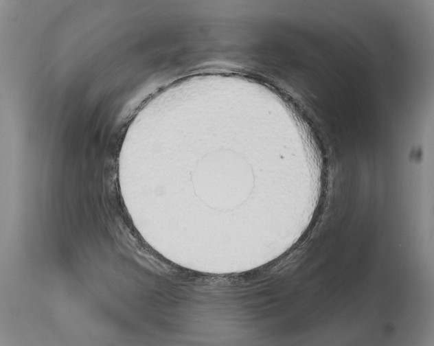 X0000114001355200911131131