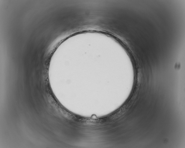 X0000114001359200911131131