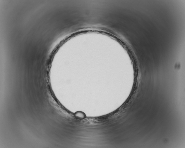 X0000114001360200911131131
