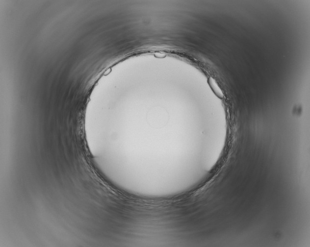 X0000114001361200911131131
