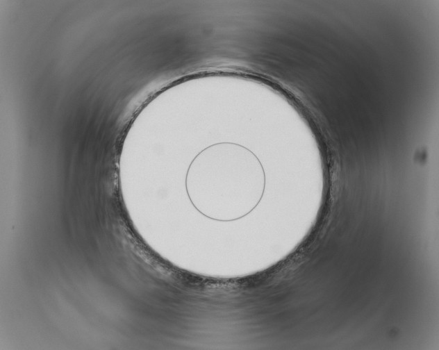 X0000114001363200911131131