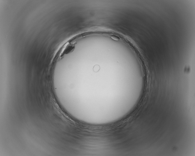 X0000114001364200911131131