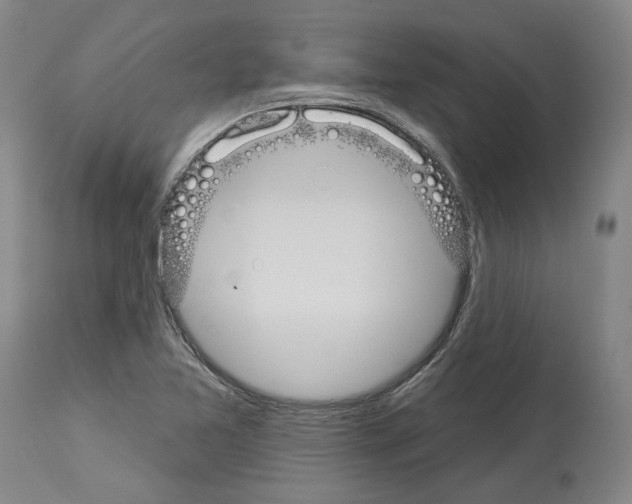 X0000114001365200911131131