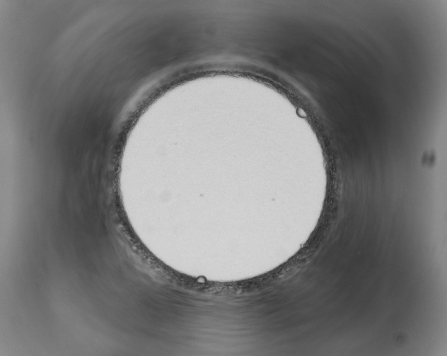 X0000114001368200911131131
