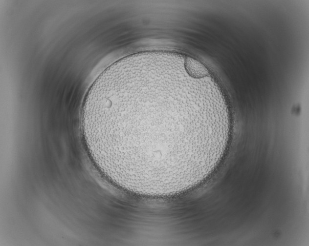 X0000114001370200911131131