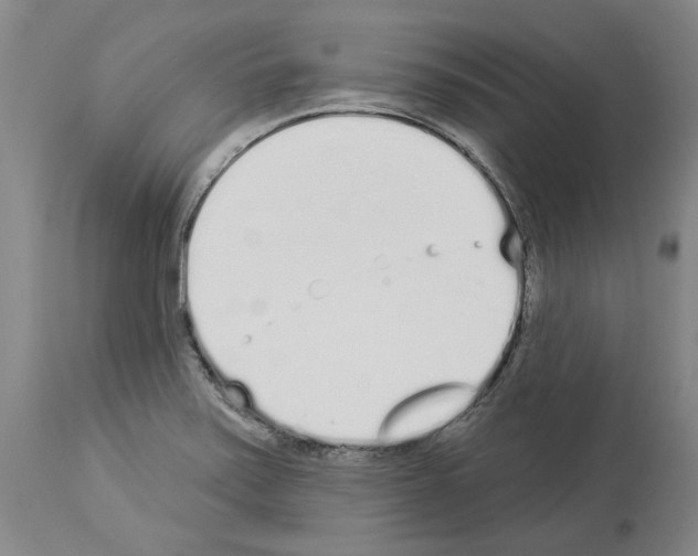 X0000114001371200911131131
