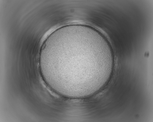 X0000114001373200911131131