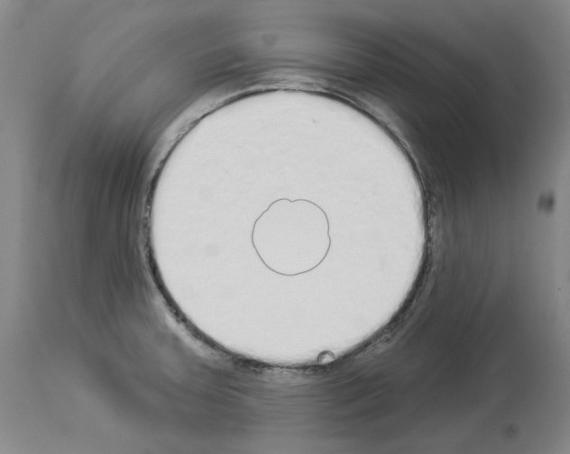 X0000114001379200911131130