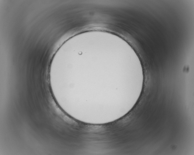 X0000114001382200911131130