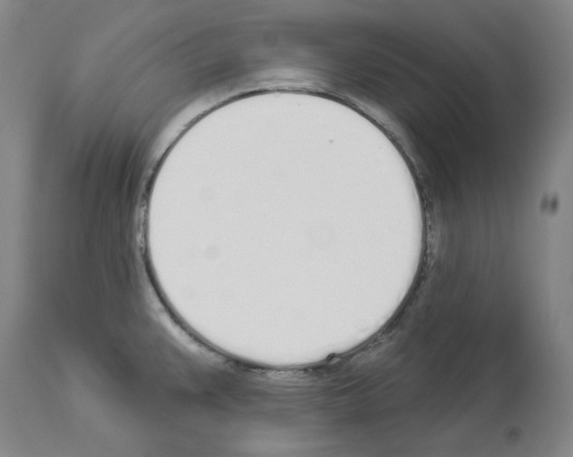 X0000114001383200911131130