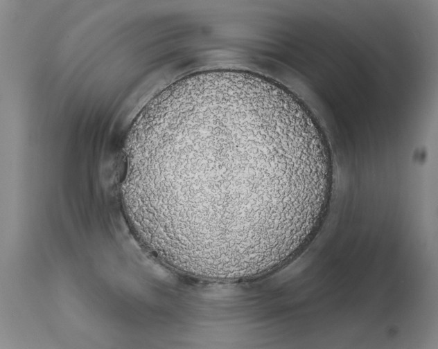 X0000114001385200911131130