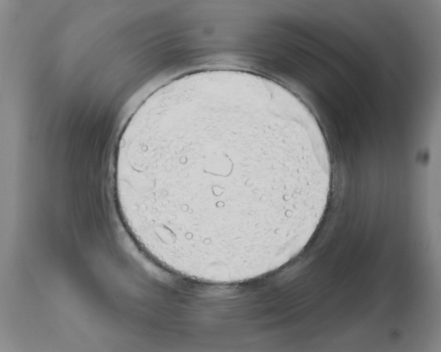 X0000114001387200911131130