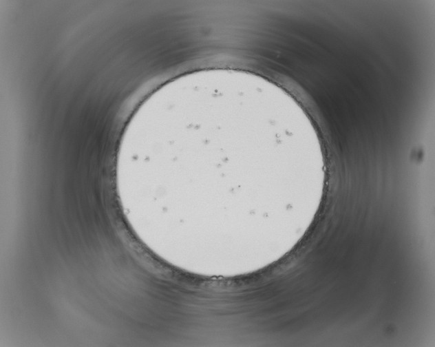 X0000114001388200911131130