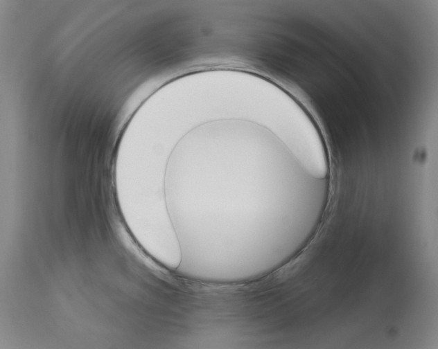 X0000114001389200911131130